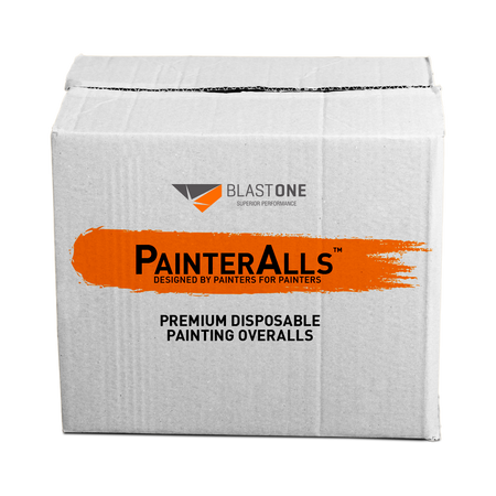 BlastOne PainterAlls box of 50